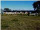 Placid Hills QLD 4343