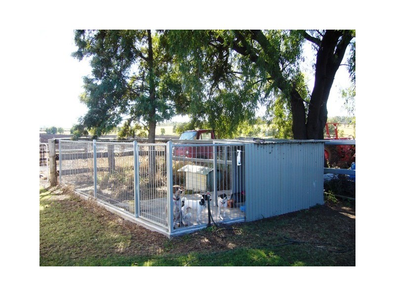 Lower Tenthill QLD 4343