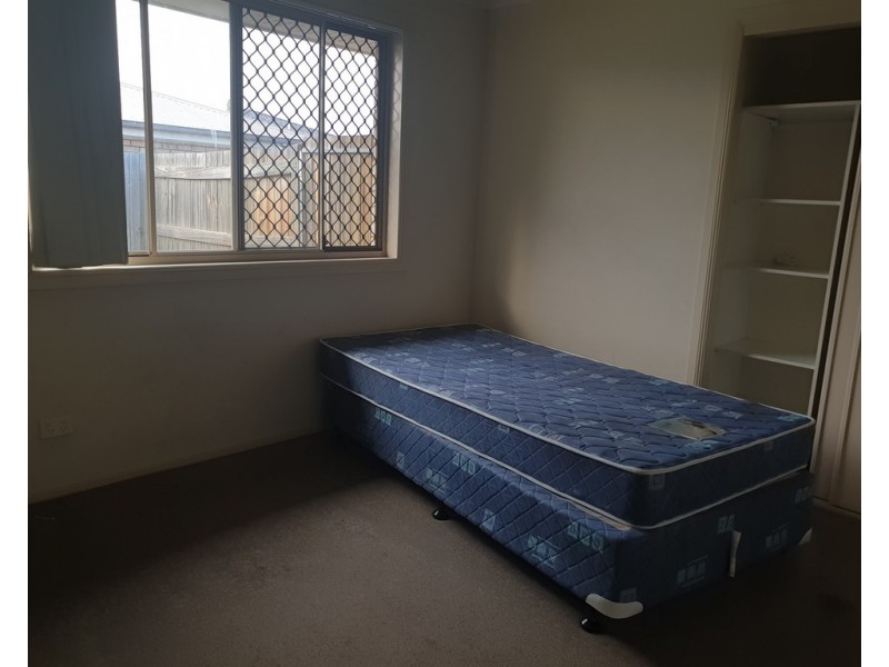 Gatton QLD 4343