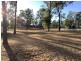 72 STAATZ QUARRY ROAD, Regency Downs QLD 4341
