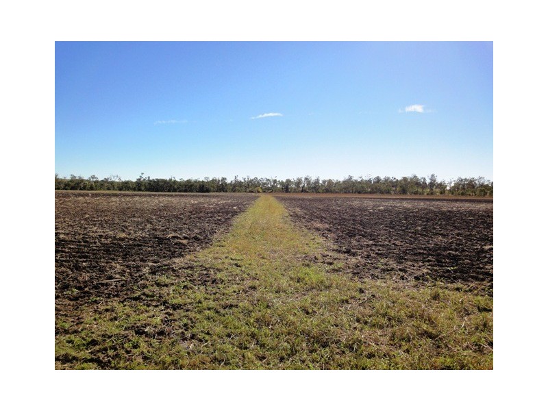 Blenheim QLD 4341