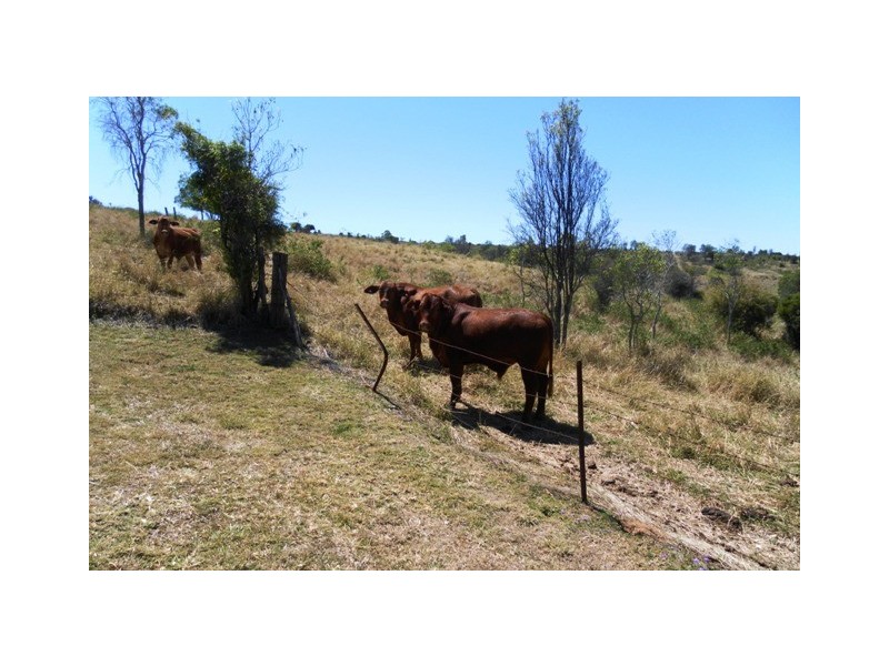 Ma Ma Creek QLD 4347