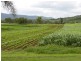 Lefthand Branch QLD 4343