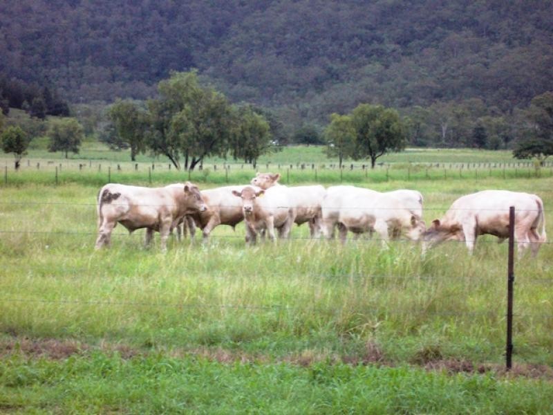 67 Stockyard Creek Road, Flagstone Creek QLD 4344