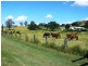 Upper Tenthill QLD 4343