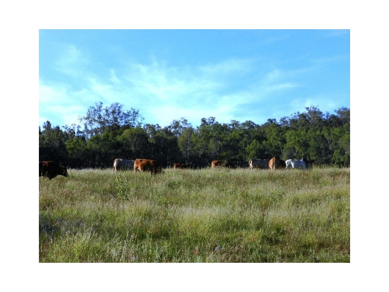 83 Lever Road, Buaraba QLD 4311