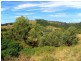 Mount Whitestone QLD 4347
