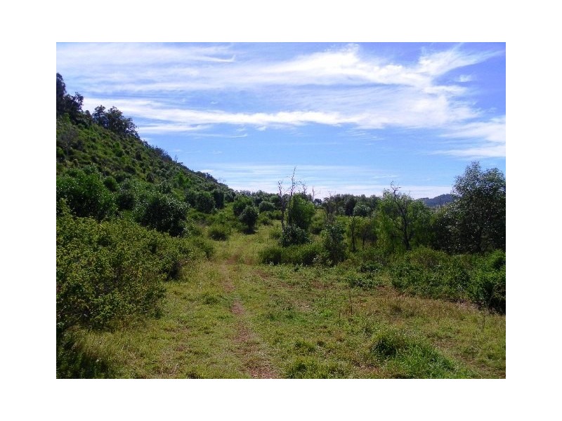 Mount Whitestone QLD 4347