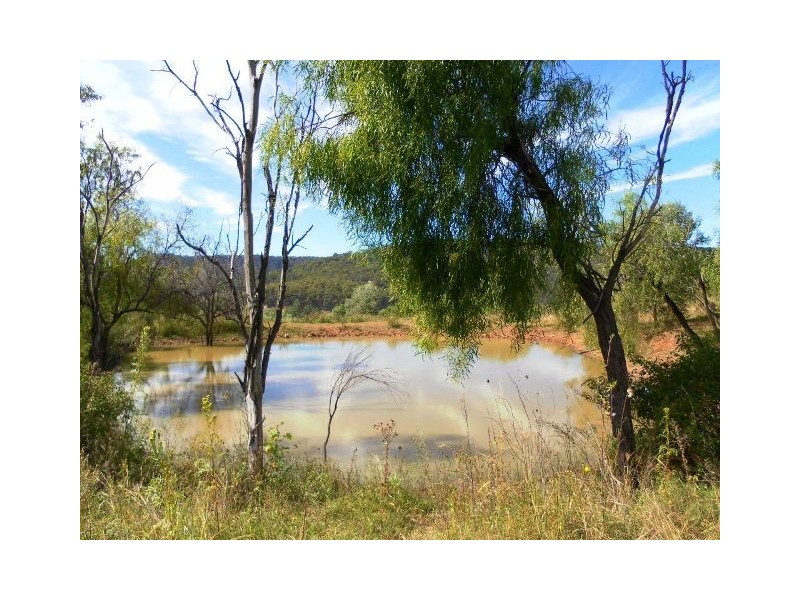 Mount Whitestone QLD 4347