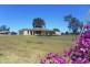 Adare QLD 4343
