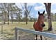 Murphys Creek QLD 4352