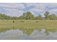 Murphys Creek QLD 4352