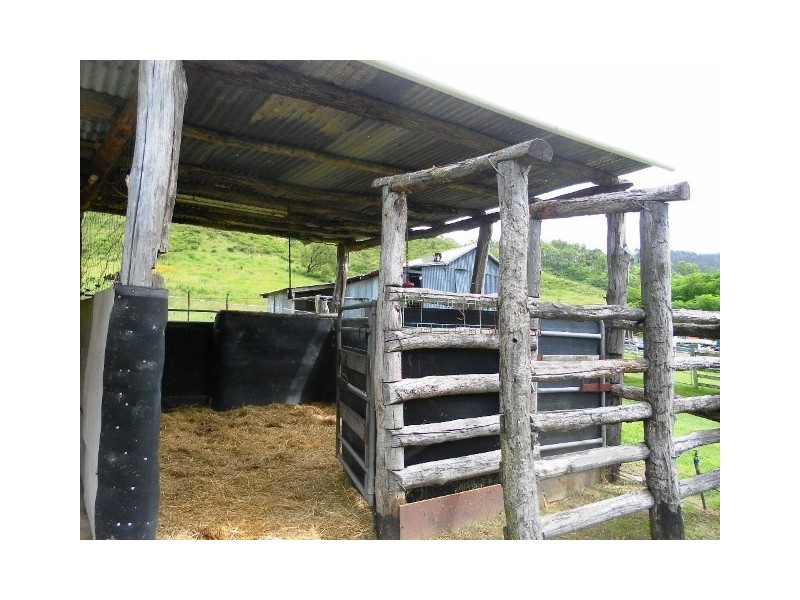 520 Dry Gully Road, Mount Whitestone QLD 4347