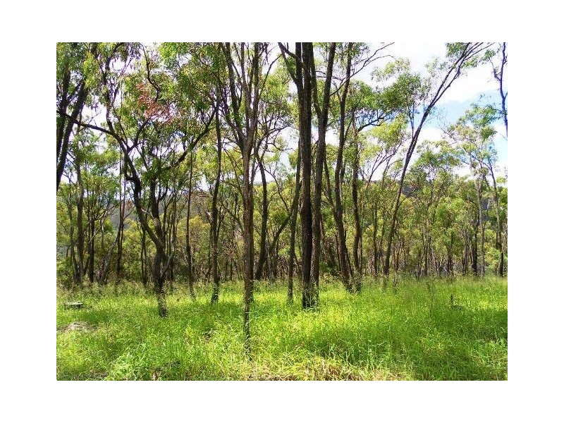 520 Dry Gully Road, Mount Whitestone QLD 4347