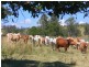Blanchview QLD 4352