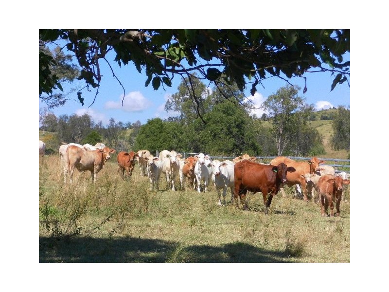 Blanchview QLD 4352