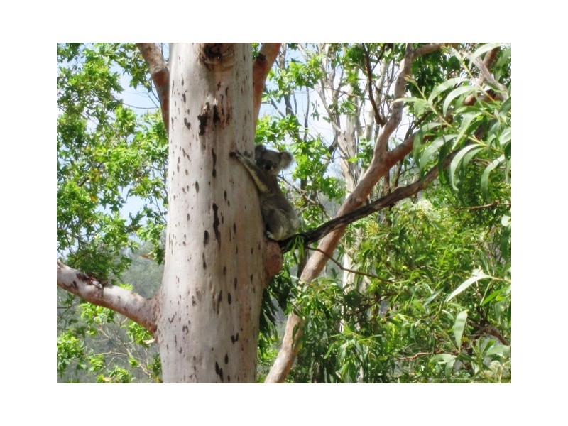 Mount Hallen QLD 4312