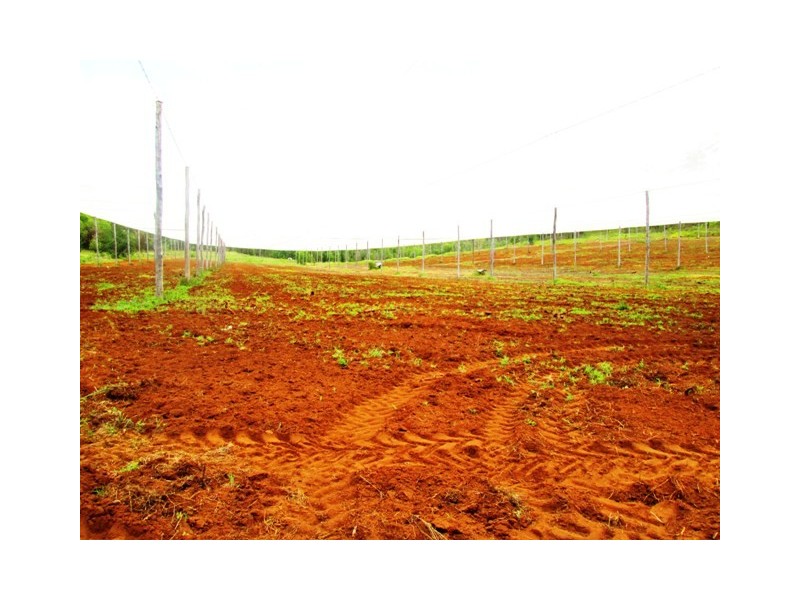 Mount Hallen QLD 4312