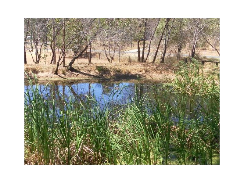 Regency Downs QLD 4341