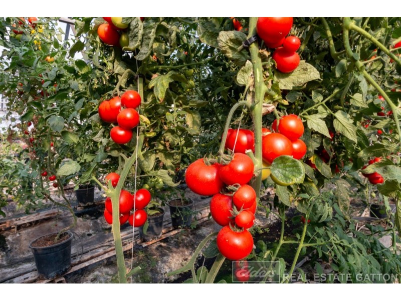 660 Mahons Road, Coominya QLD 4311