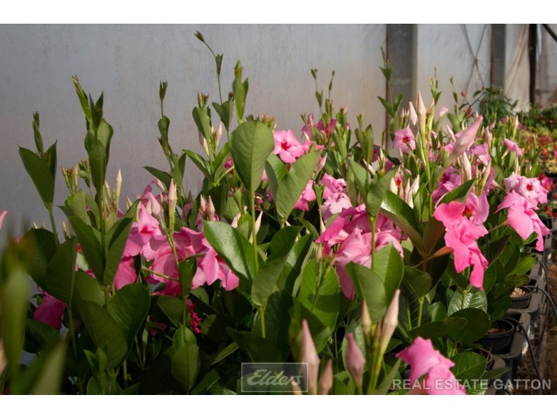 660 Mahons Road, Coominya QLD 4311