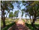 Laidley South QLD 4341