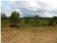 1751 Murphys Creek Road, Murphys Creek QLD 4352