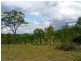 1751 Murphys Creek Road, Murphys Creek QLD 4352