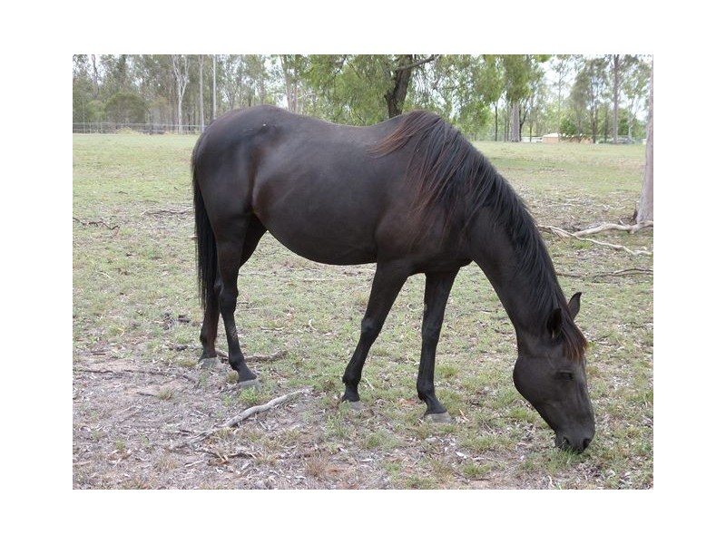 7 Fleur Crescent, Lockyer Waters QLD 4311