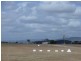 Gatton QLD 4343
