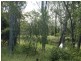 Blenheim QLD 4341