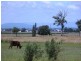 32 Greenswamp Road East, Morton Vale QLD 4343