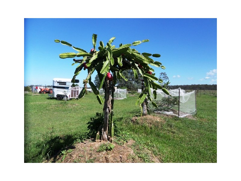 32 Greenswamp Road East, Morton Vale QLD 4343