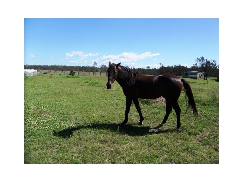 32 Greenswamp Road East, Morton Vale QLD 4343