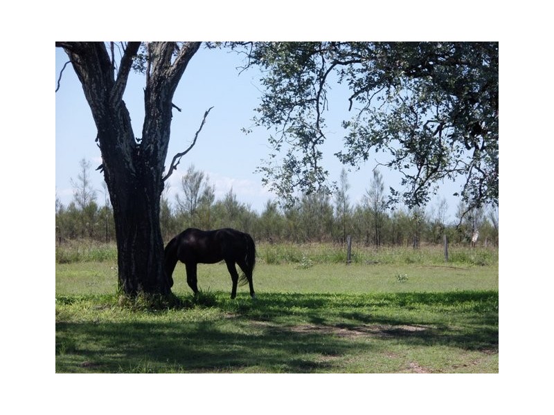 32 Greenswamp Road East, Morton Vale QLD 4343