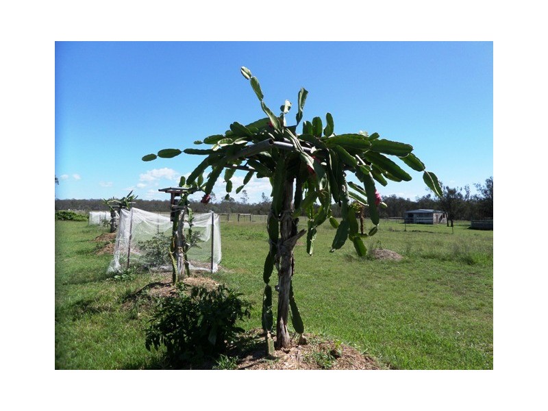 32 Greenswamp Road East, Morton Vale QLD 4343