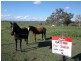 Lot 107 McLaughlans Lane, Brightview QLD 4311