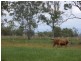 Lot 75 Lyons Road, Lake Clarendon QLD 4343