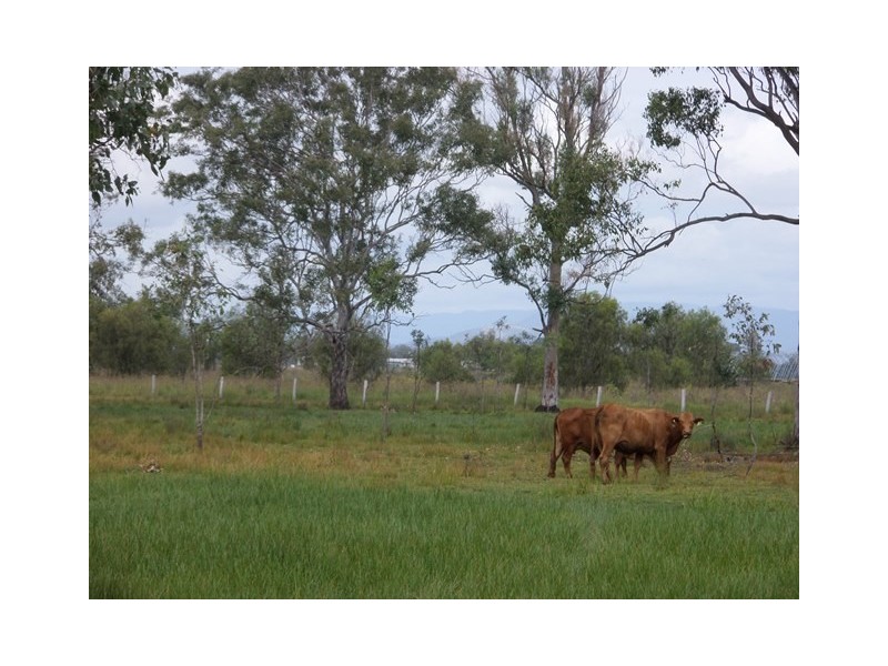 Lot 75 Lyons Road, Lake Clarendon QLD 4343