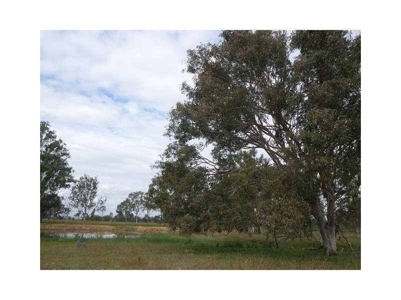 Lot 75 Lyons Road, Lake Clarendon QLD 4343