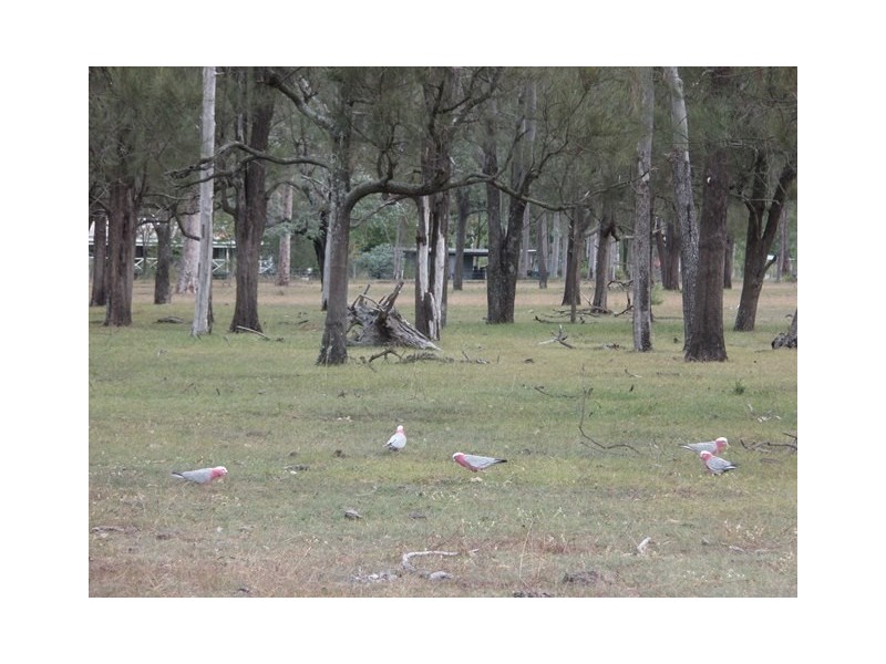 Lot 75 Lyons Road, Lake Clarendon QLD 4343