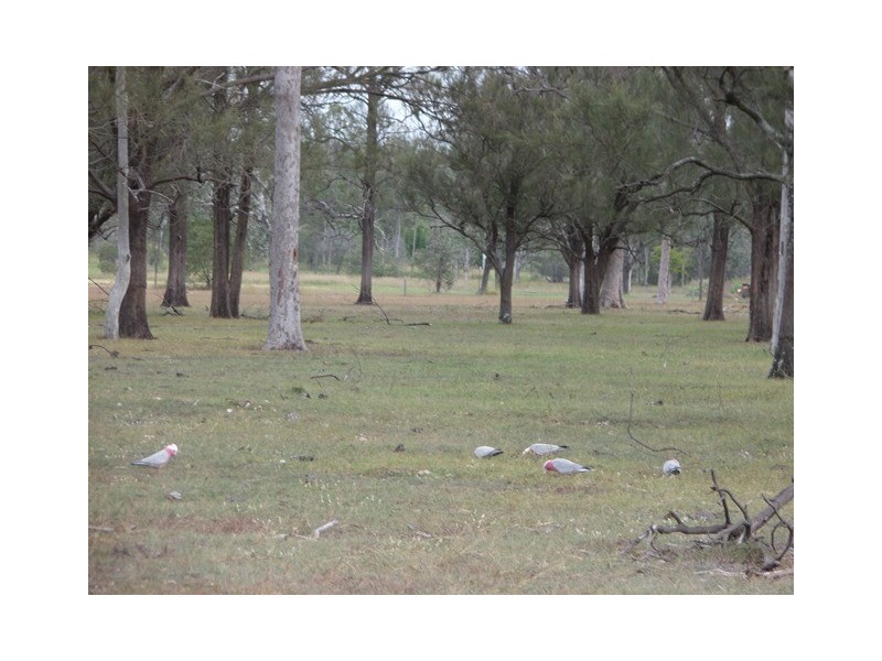 Lot 75 Lyons Road, Lake Clarendon QLD 4343