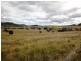 Ma Ma Creek QLD 4347