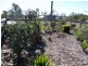Laidley Heights QLD 4341
