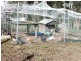 40 Australia II Drive, Kensington Grove QLD 4341