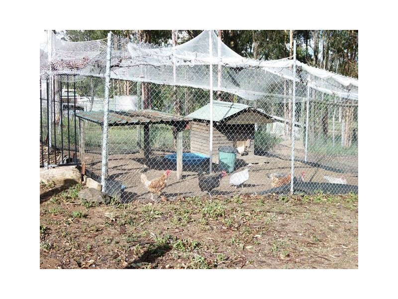 40 Australia II Drive, Kensington Grove QLD 4341