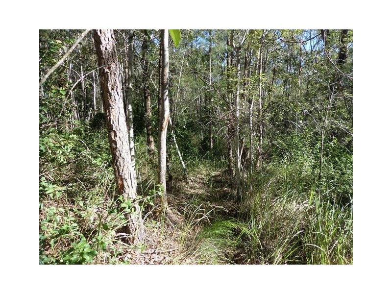 42 Buckingham Court, Mount Hallen QLD 4312