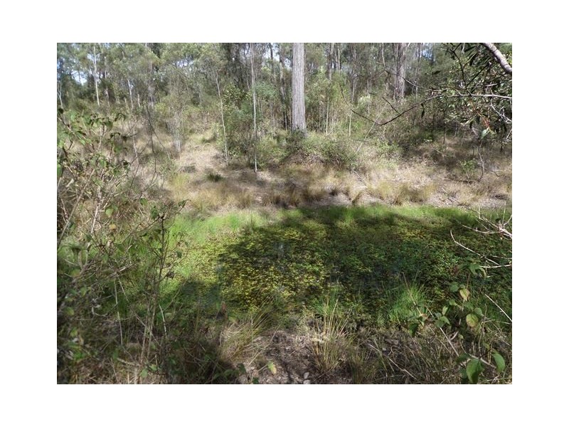 Lot 1 Razorback Rd, Fordsdale QLD 4343