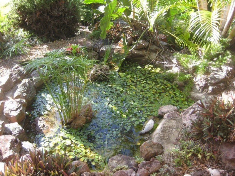 117 Brigalow St, Placid Hills QLD 4343