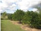 9 Niemeyer Road, Hatton Vale QLD 4341